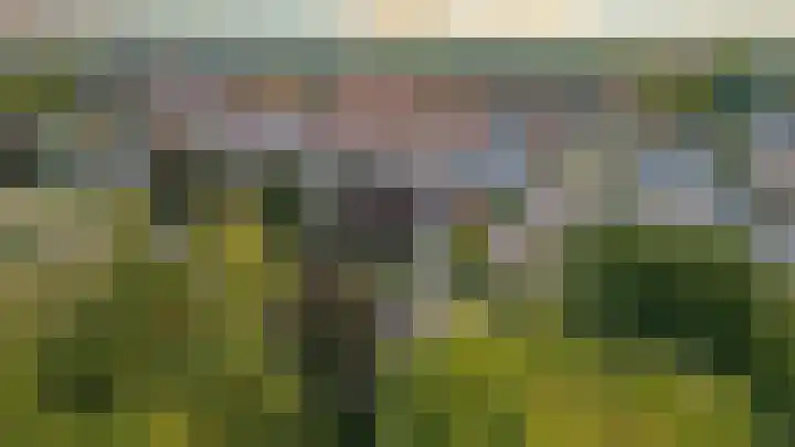 Biss Philip Roveniusstraat 5 Groenlo thumbnail 30