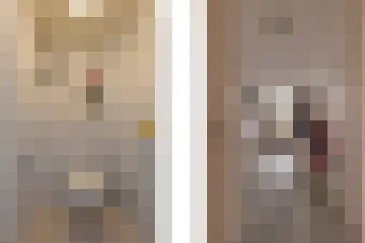 Biss Philip Roveniusstraat 5 Groenlo thumbnail 5