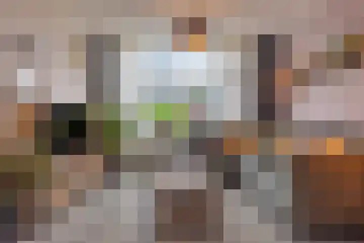 Biss Philip Roveniusstraat 5 Groenlo thumbnail 6