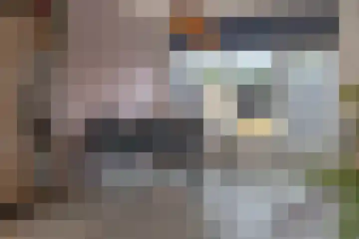 Biss Philip Roveniusstraat 5 Groenlo thumbnail 9