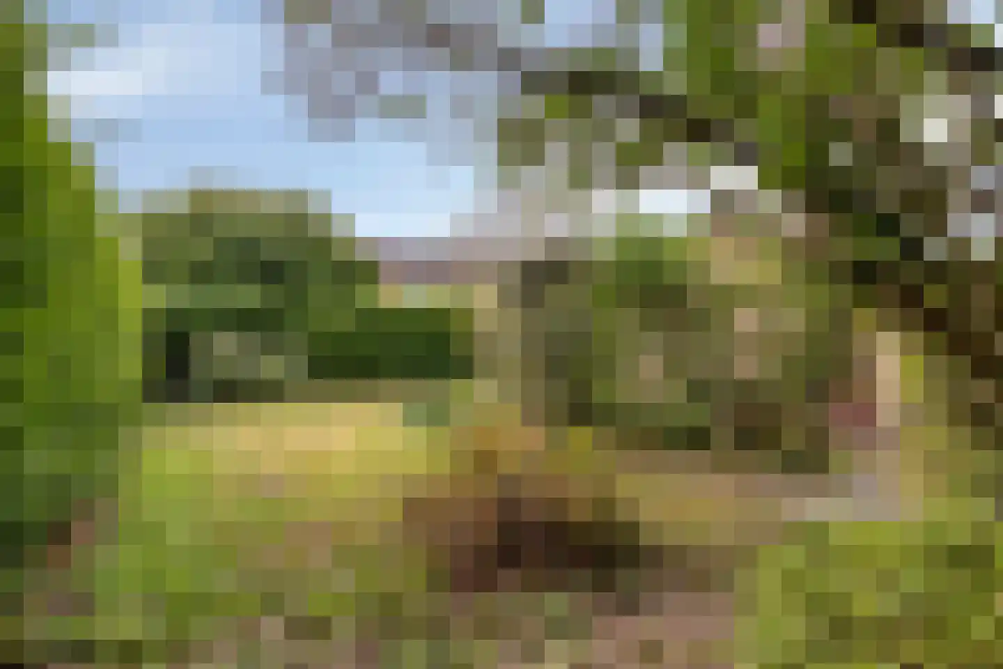 Bisschop Adelboldlaan 1 Tiel thumbnail 22
