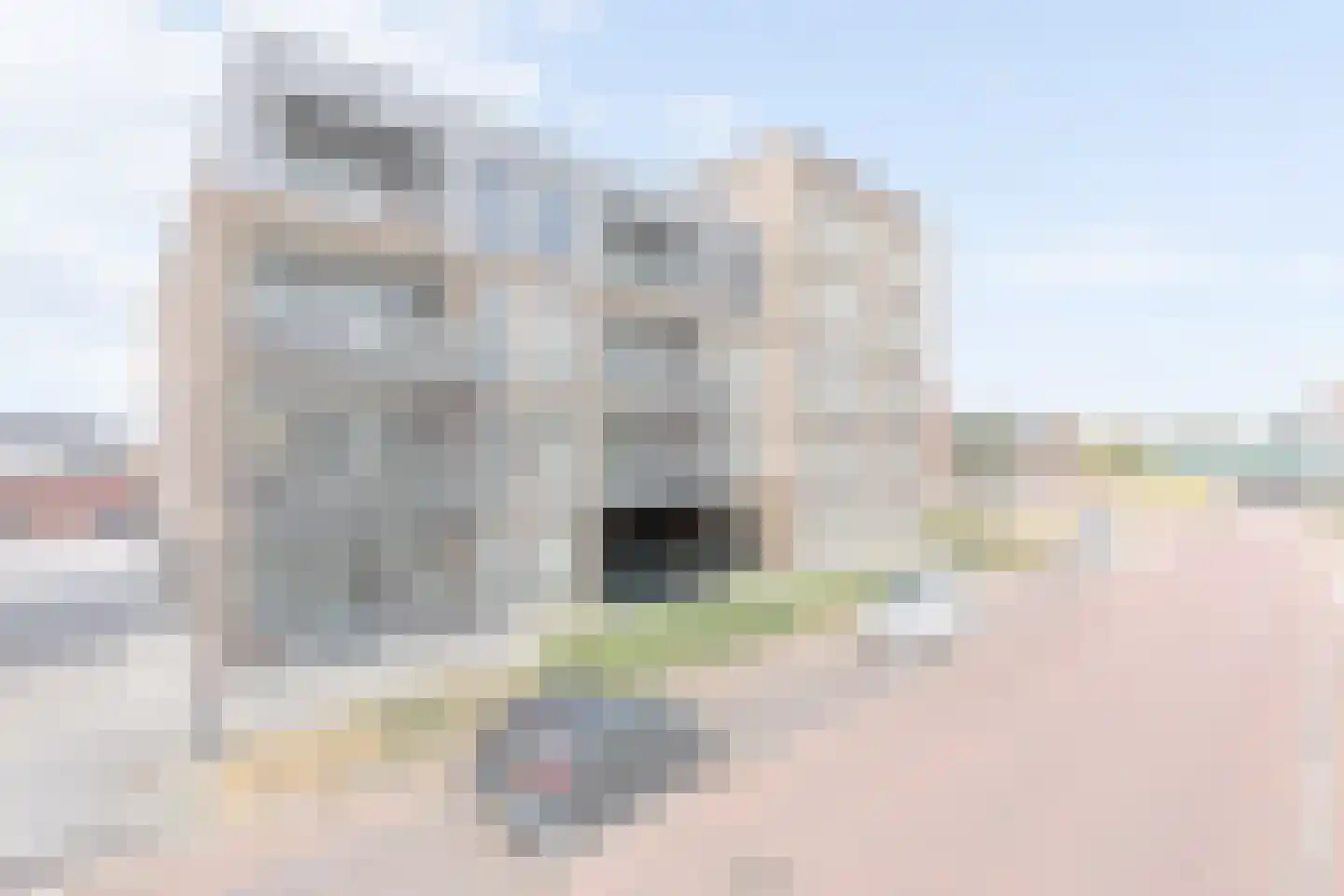 Bisschop Balderikstraat 32 Oldenzaal thumbnail 6