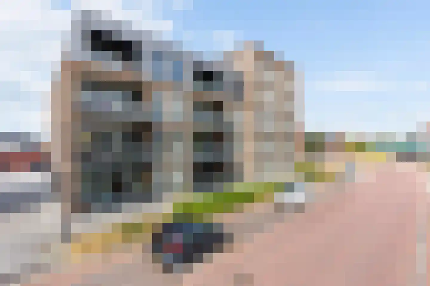 Bisschop Balderikstraat 32 Oldenzaal thumbnail 7