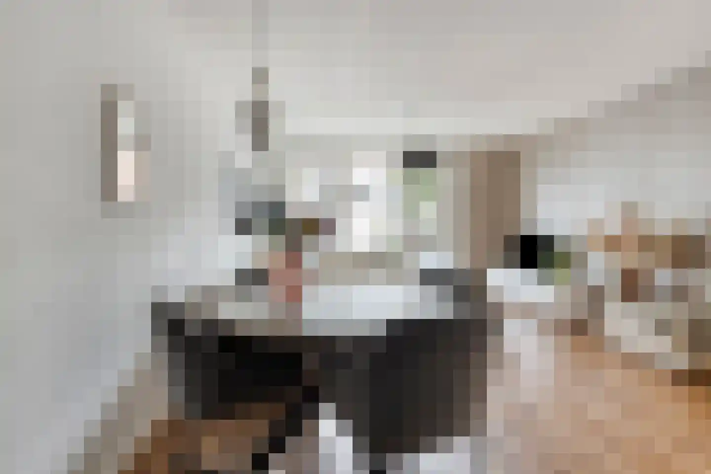 Bisschop Bekkerslaan 101 Tilburg thumbnail 11