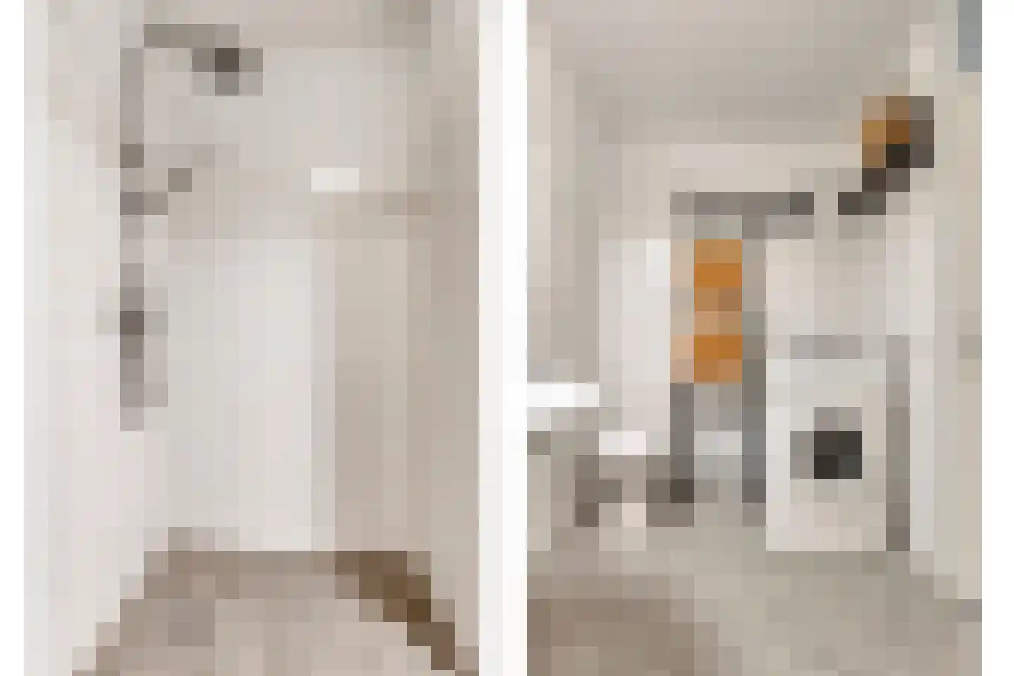 Bisschop Bekkerslaan 101 Tilburg thumbnail 17