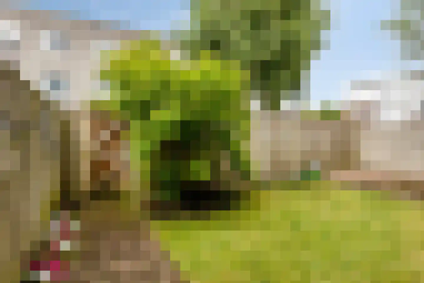 Bisschop Bekkerslaan 101 Tilburg thumbnail 20