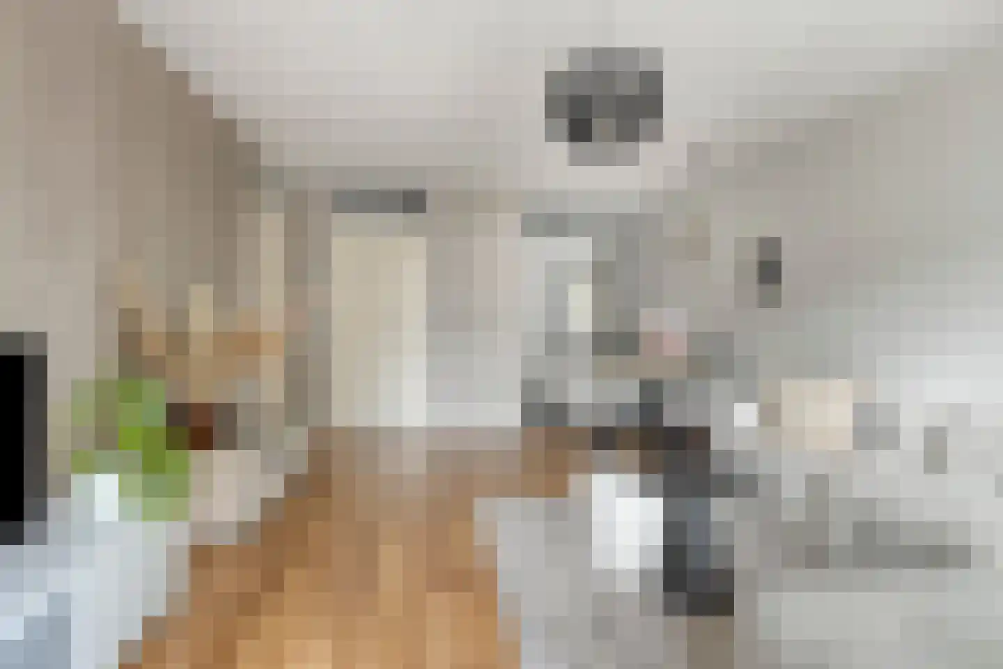 Bisschop Bekkerslaan 101 Tilburg thumbnail 9