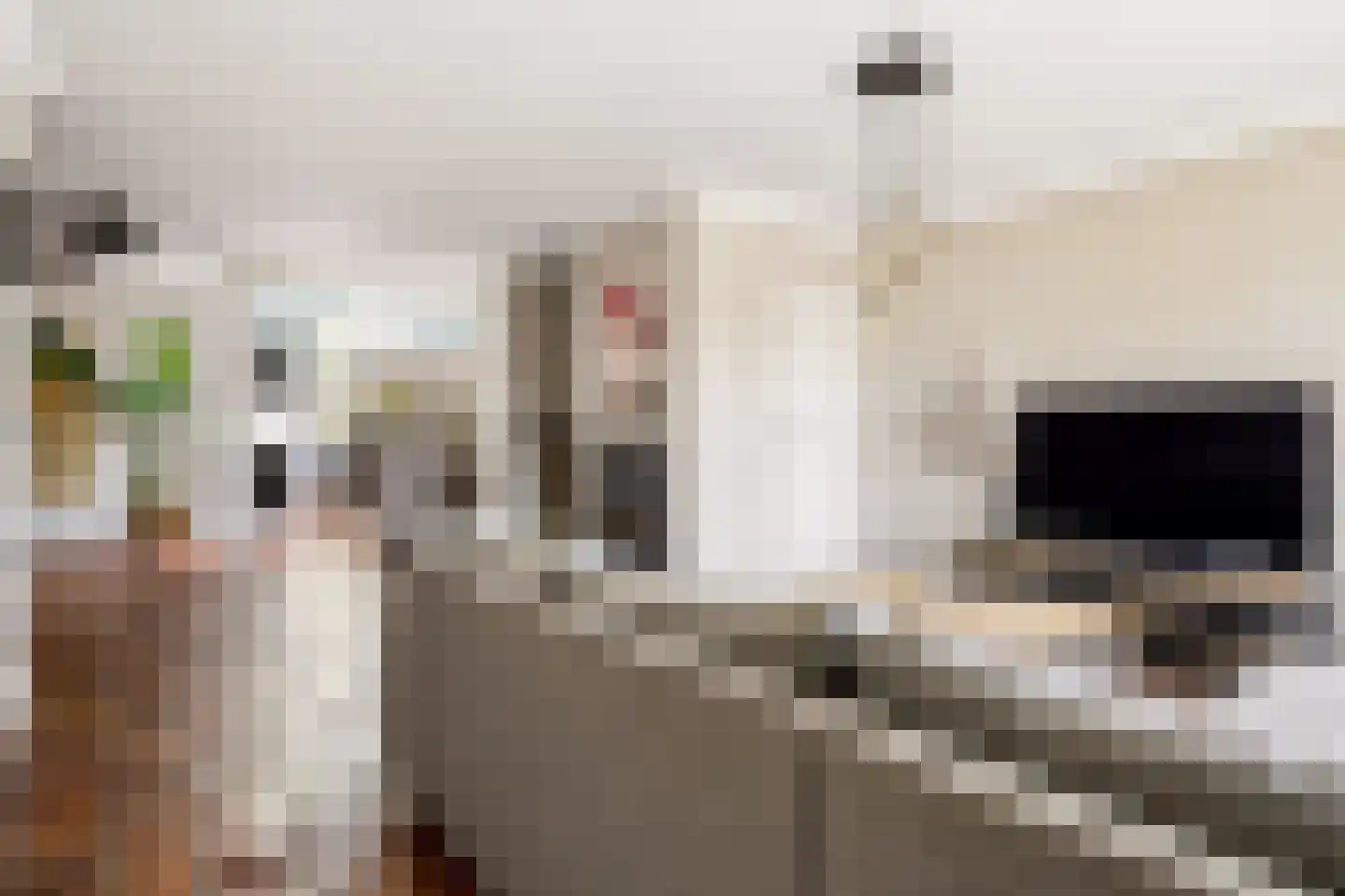 Bisschop Bekkerslaan 22 Uden thumbnail 10