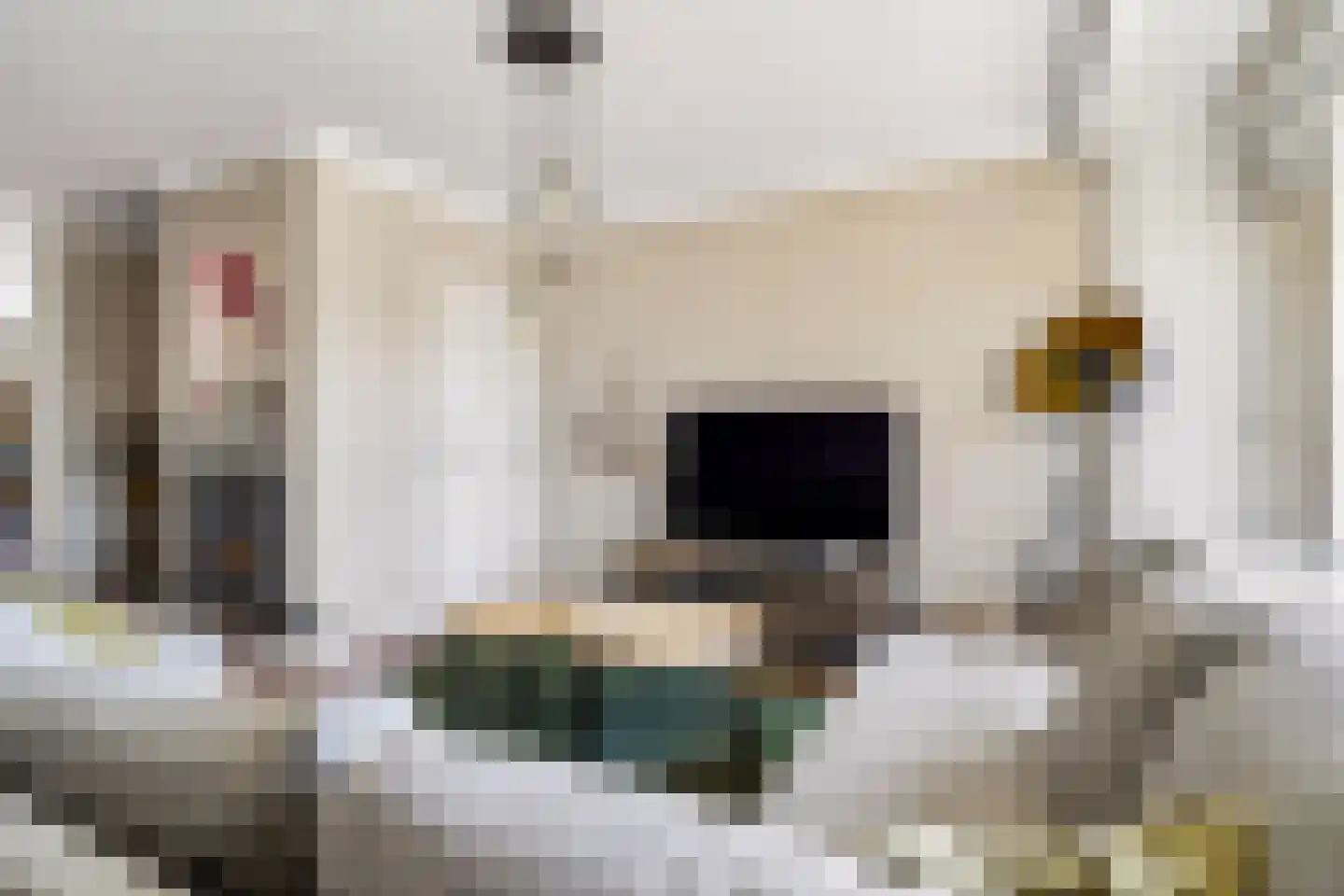 Bisschop Bekkerslaan 22 Uden thumbnail 11