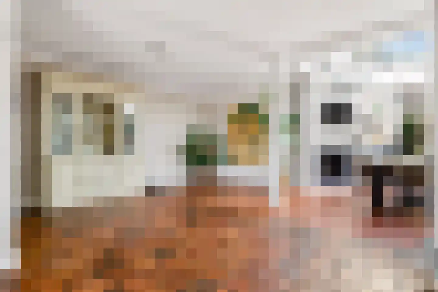 Bisschop Bekkerslaan 22 Uden thumbnail 12