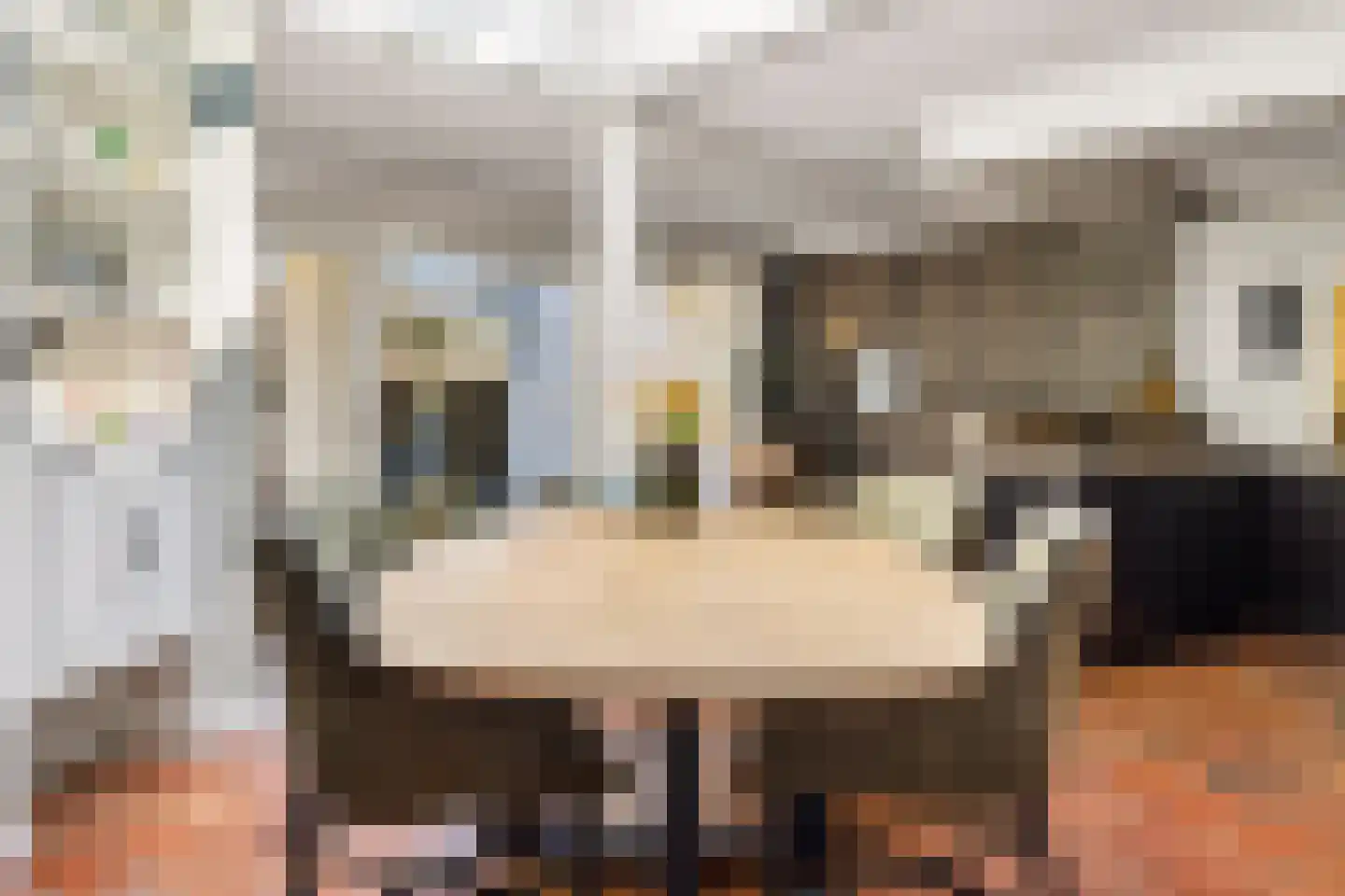 Bisschop Bekkerslaan 22 Uden thumbnail 16