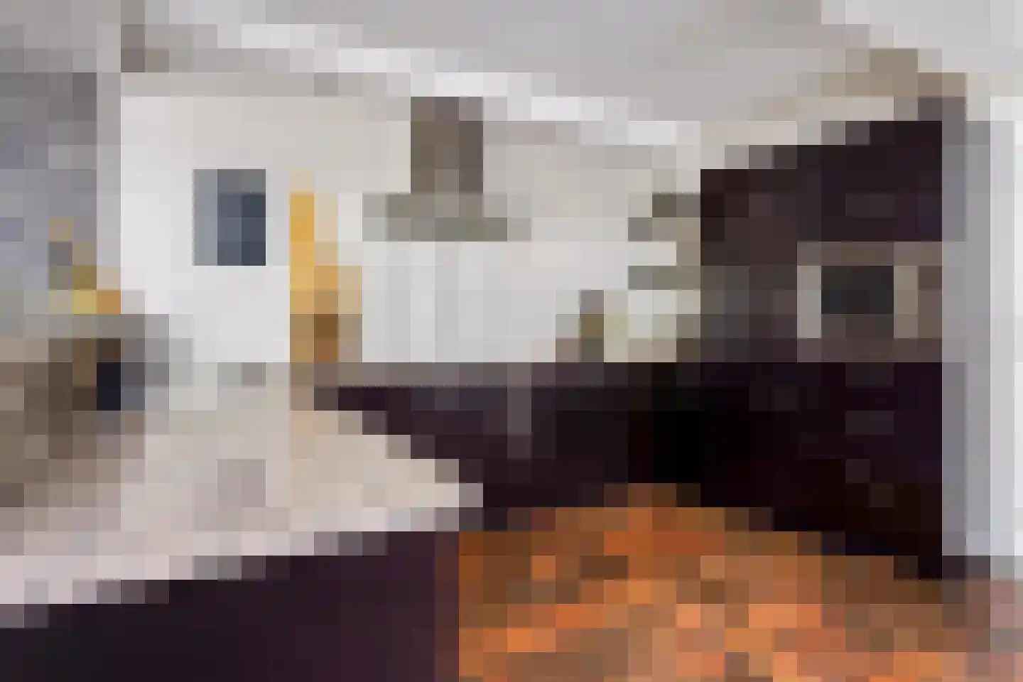 Bisschop Bekkerslaan 22 Uden thumbnail 18