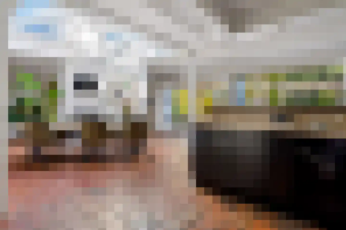 Bisschop Bekkerslaan 22 Uden thumbnail 19
