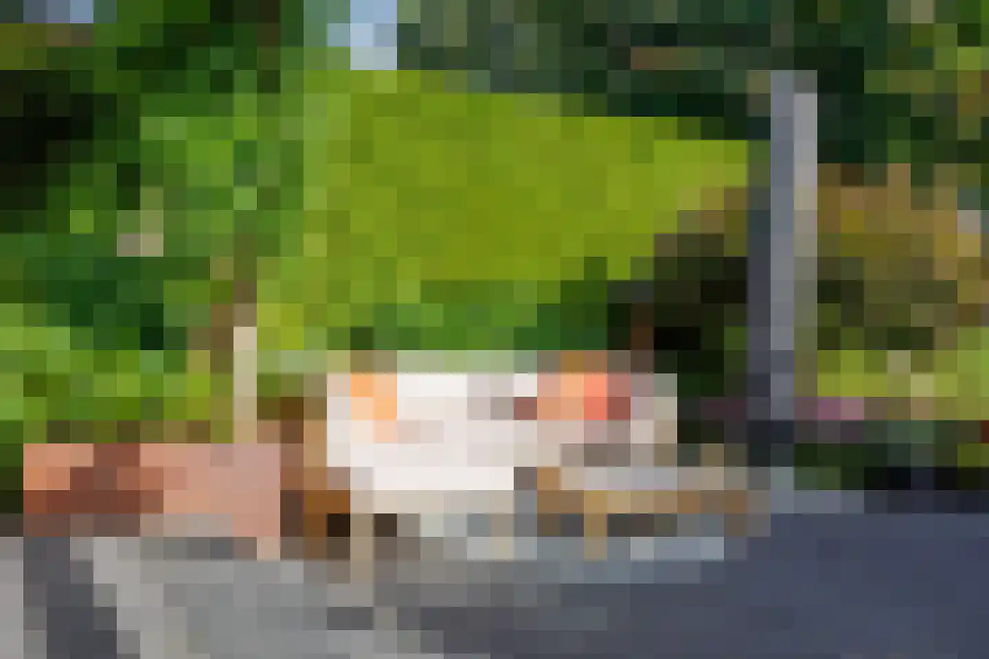 Bisschop Bekkerslaan 22 Uden thumbnail 41