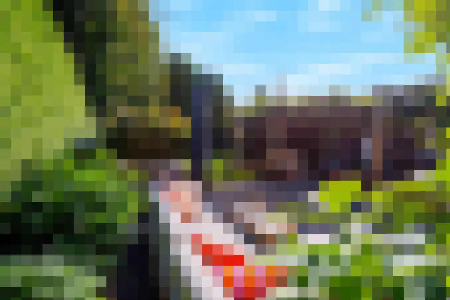Bisschop Bekkerslaan 22 Uden thumbnail 43
