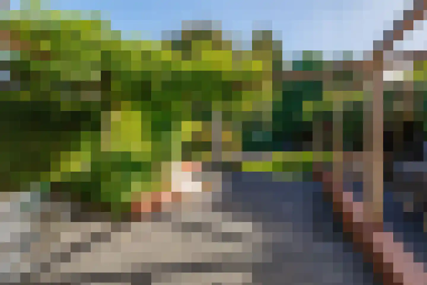 Bisschop Bekkerslaan 22 Uden thumbnail 51