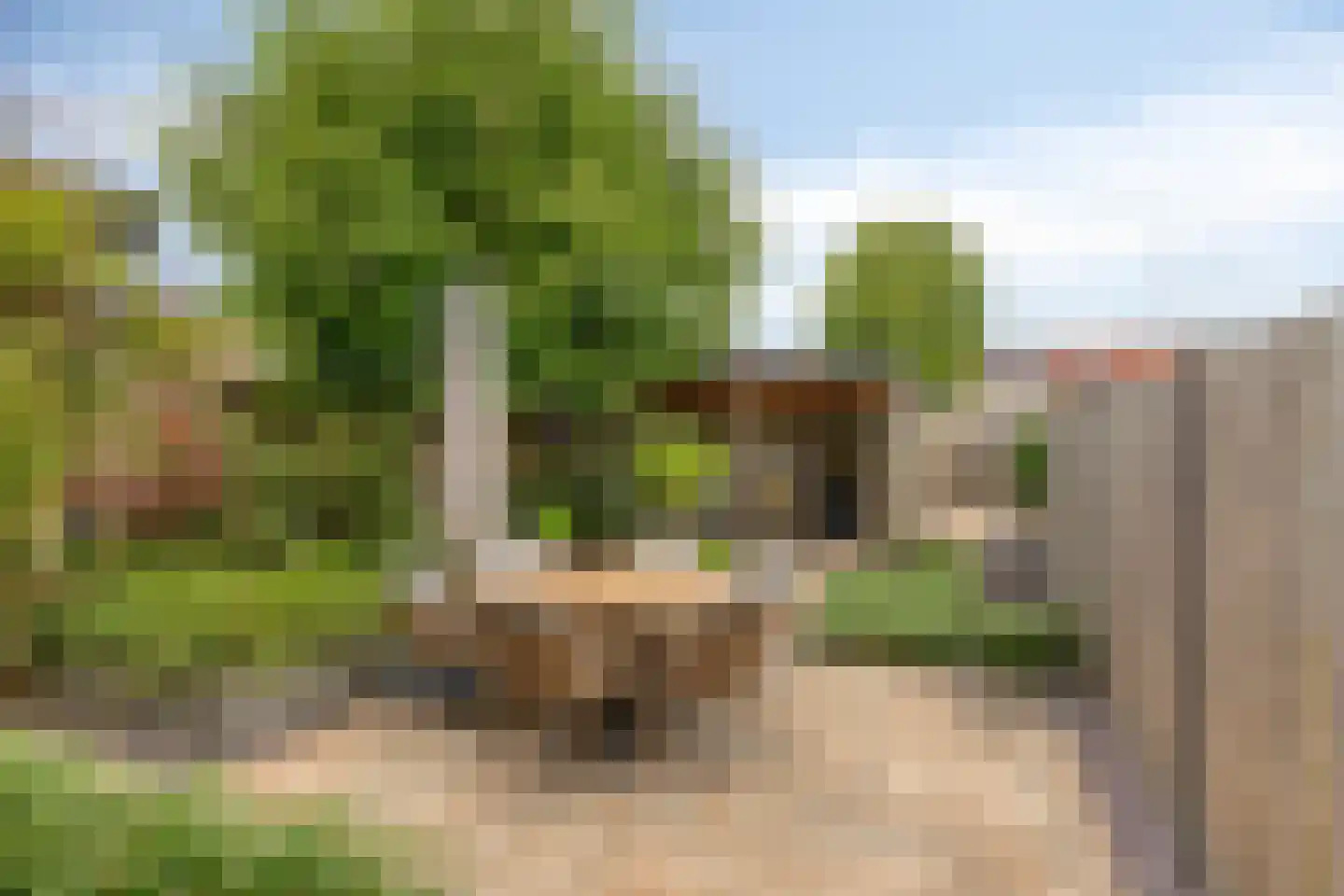 Bisschop Bekkerslaan 50 Eindhoven thumbnail 29