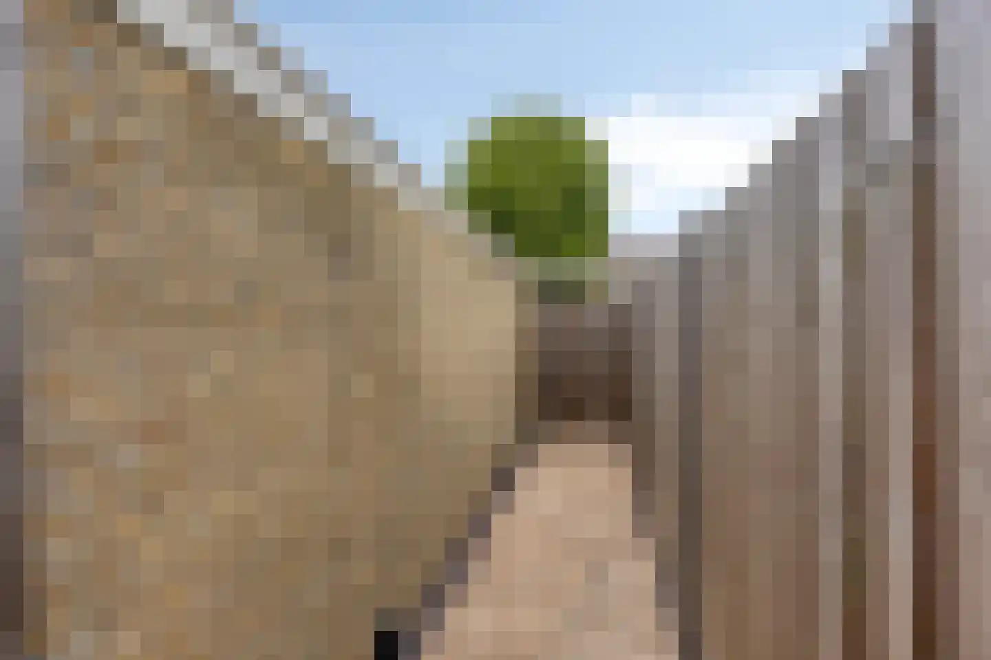Bisschop Bekkerslaan 50 Eindhoven thumbnail 35