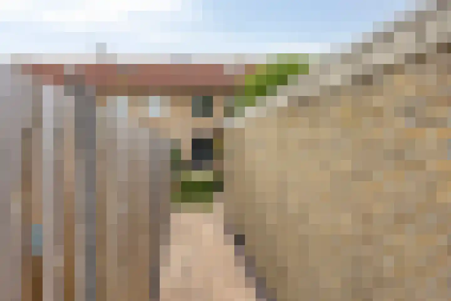 Bisschop Bekkerslaan 50 Eindhoven thumbnail 36