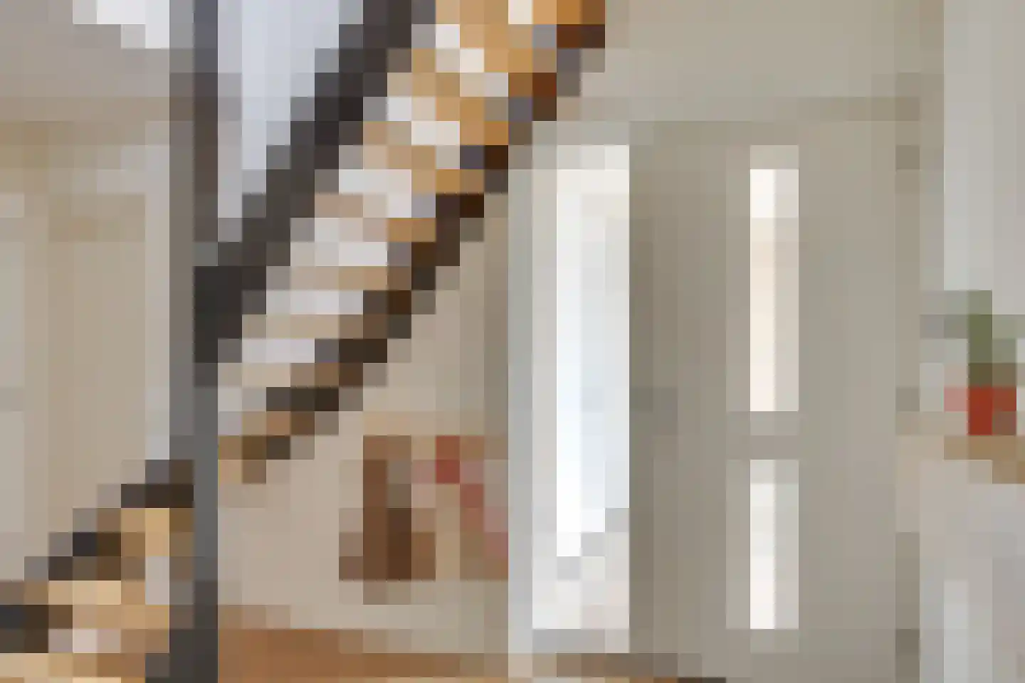 Bisschop Bekkerslaan 6 Uden thumbnail 10