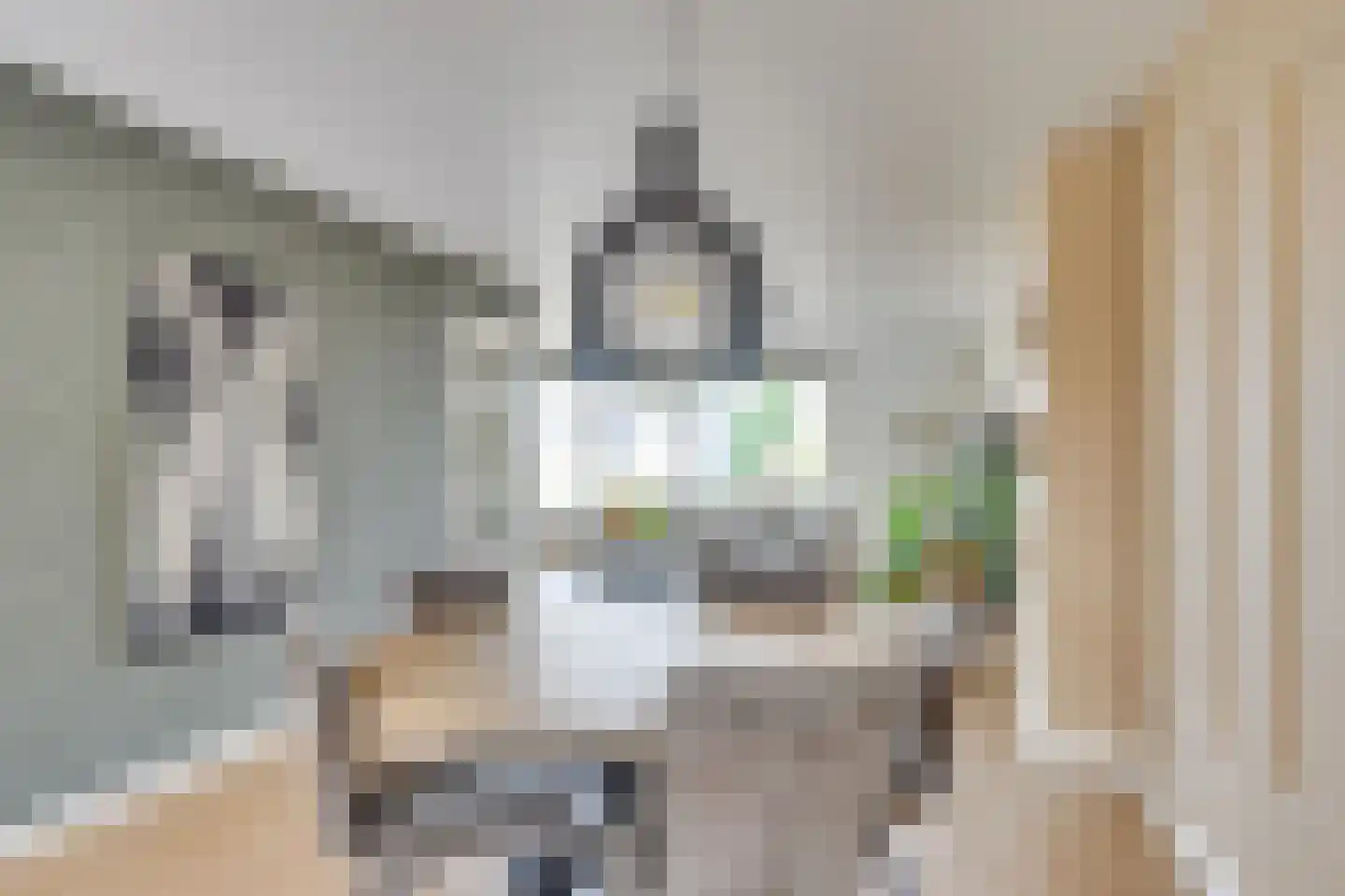 Bisschop Bekkerslaan 6 Uden thumbnail 12