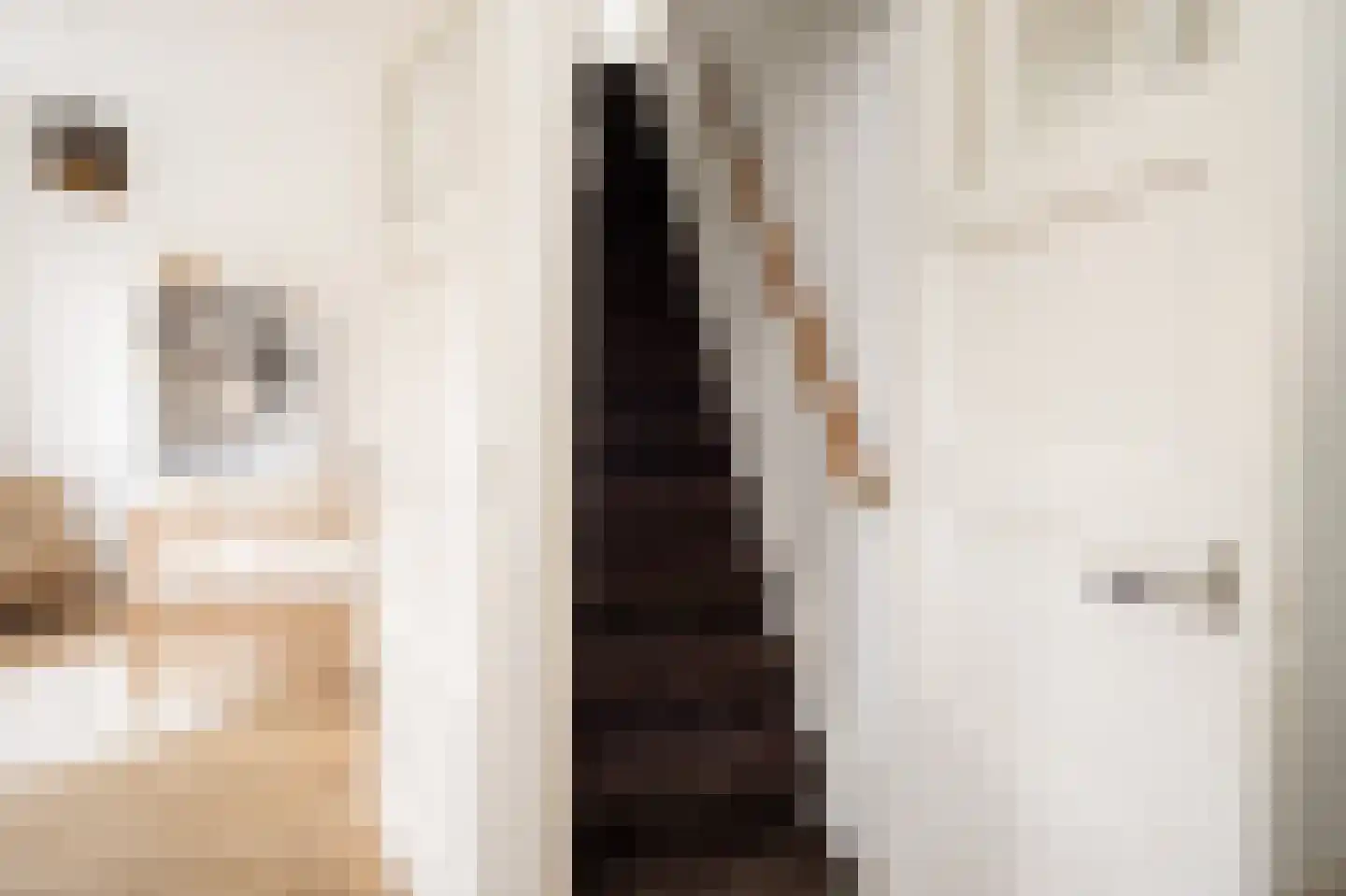 Bisschop Bottemannestraat 31 Alkmaar thumbnail 25