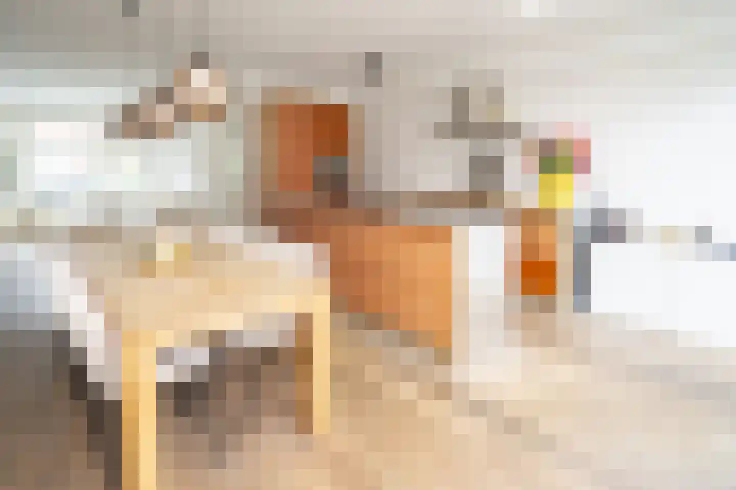 Bisschop Bottemannestraat 31 Alkmaar thumbnail 9
