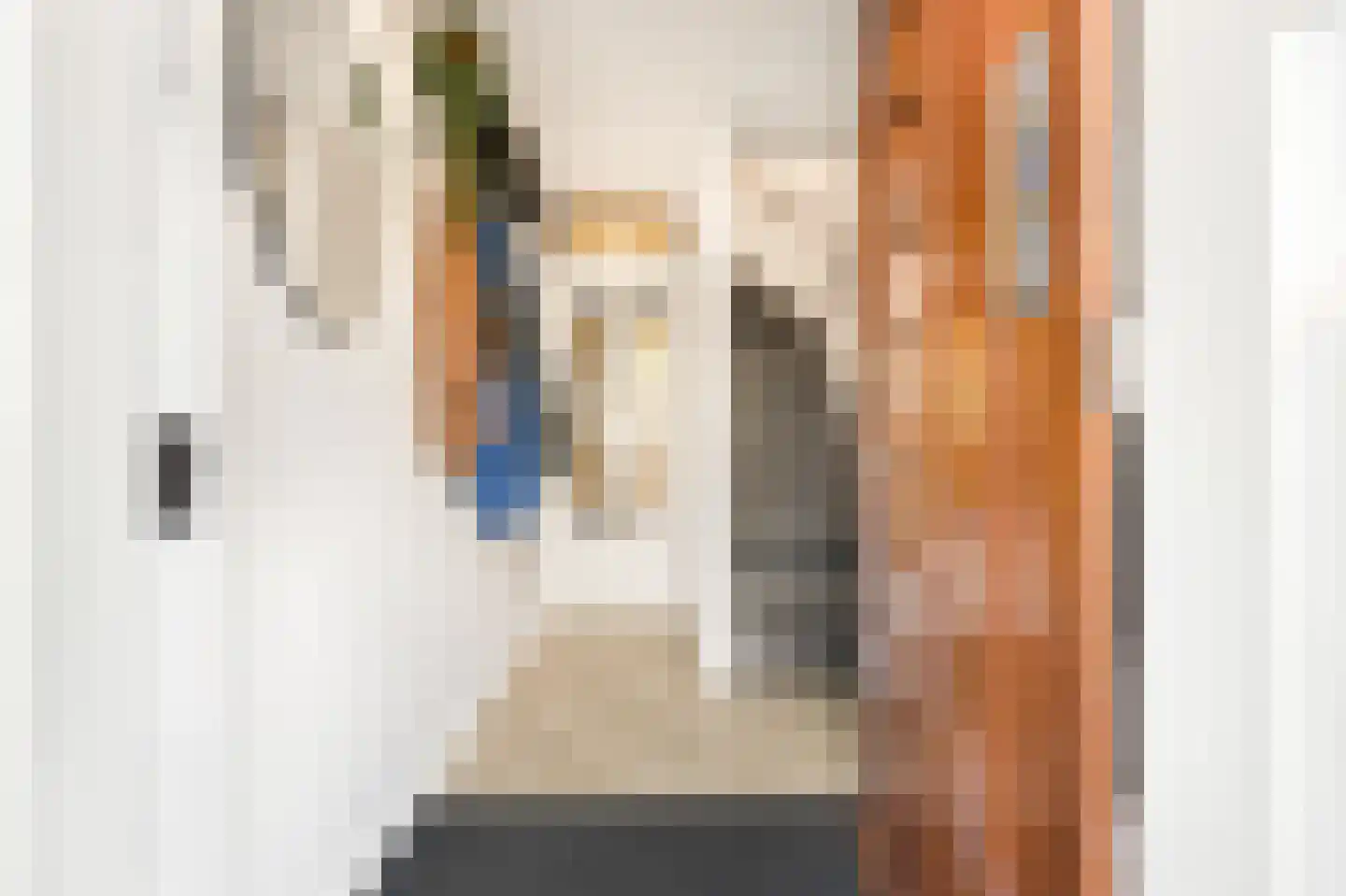 Bisschop Bottemannestraat 45 Alkmaar thumbnail 11