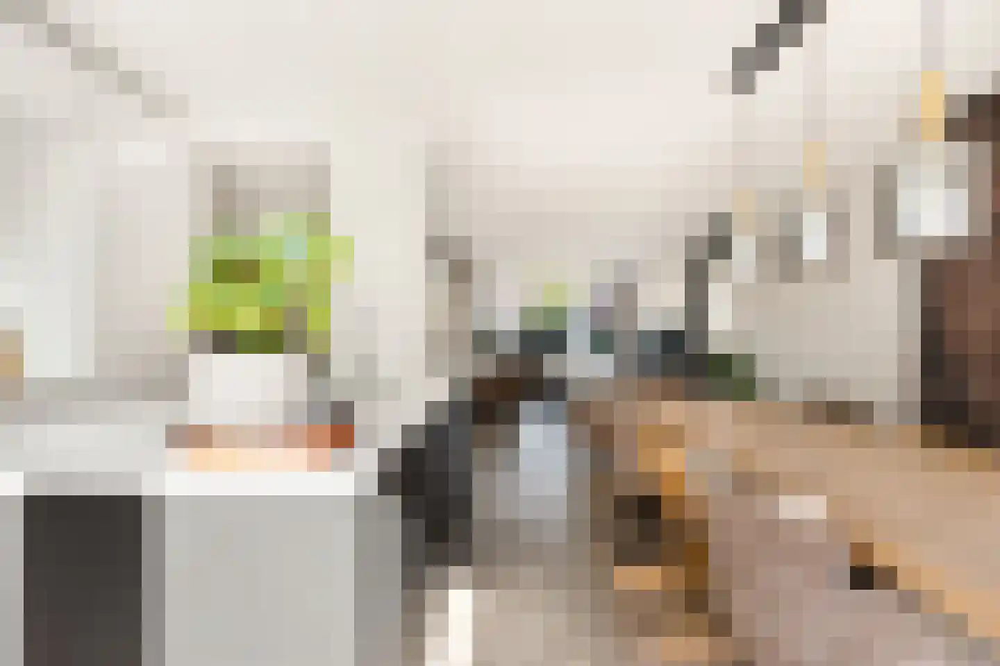 Bisschop Bottemannestraat 45 Alkmaar thumbnail 15