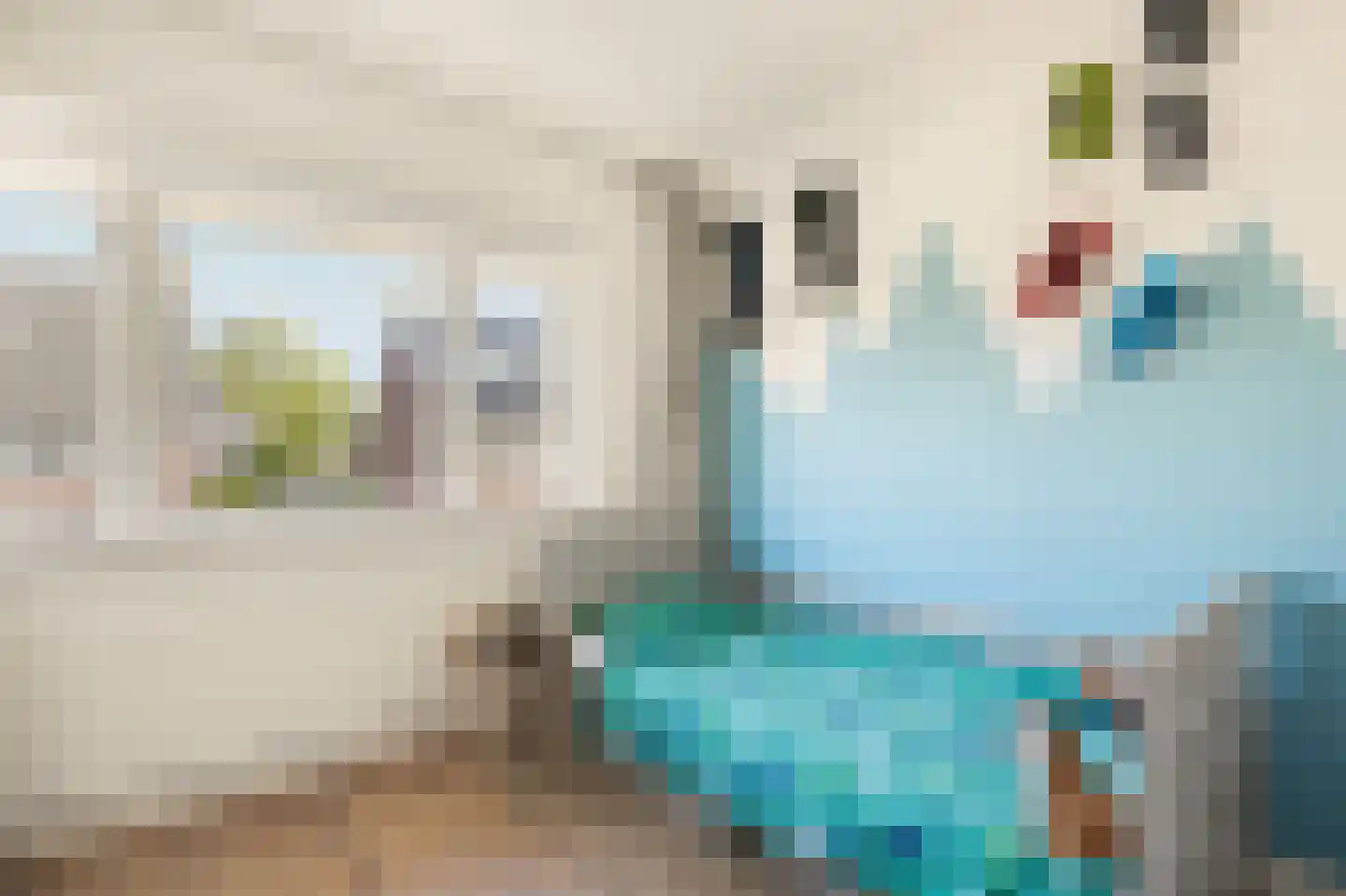 Bisschop Bottemannestraat 45 Alkmaar thumbnail 26