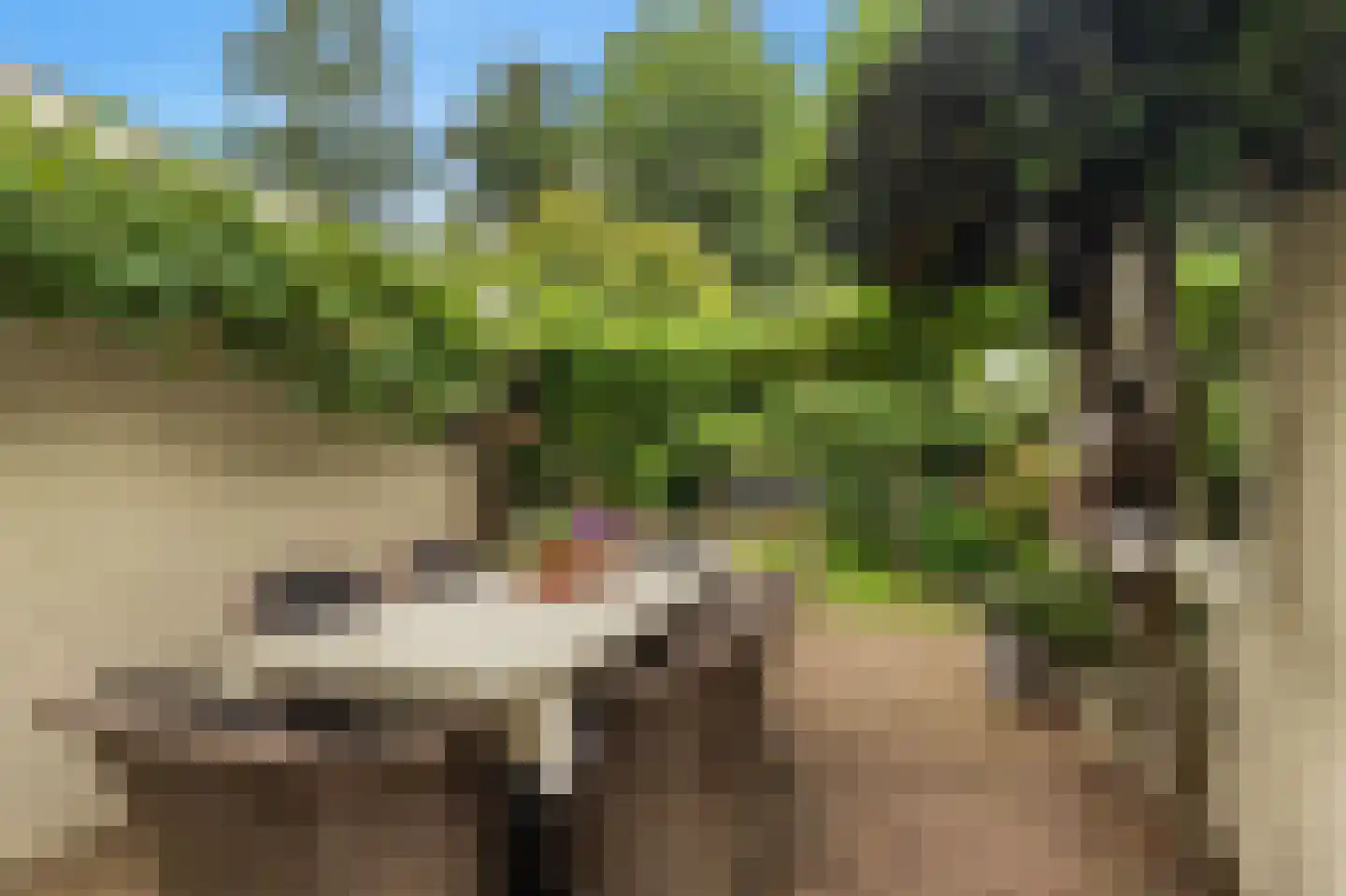 Bisschop Bottemannestraat 49 Alkmaar thumbnail 15