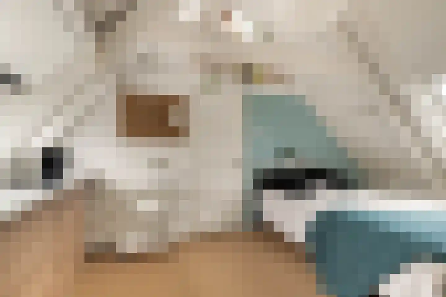 Bisschop Bottemannestraat 49 Alkmaar thumbnail 33