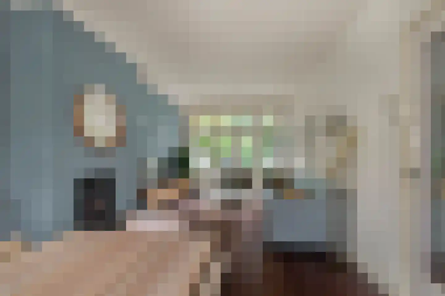 Bisschop Bottemannestraat 49 Alkmaar thumbnail 4