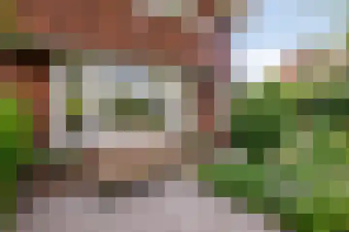 Bisschop Bottemannestraat 78 Alkmaar thumbnail 7