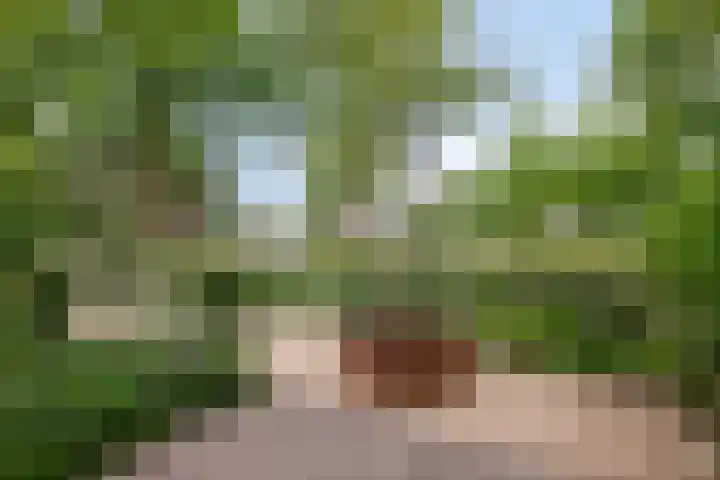 Bisschop Bottemannestraat 78 Alkmaar thumbnail 8