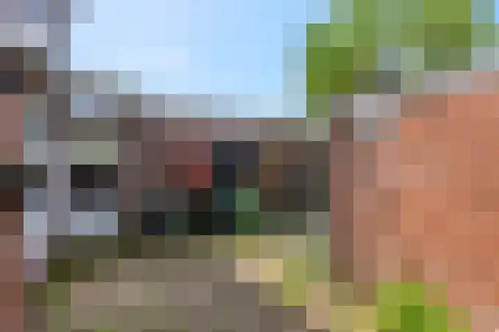 Bisschop Davidweg 7 Rhenen thumbnail 21