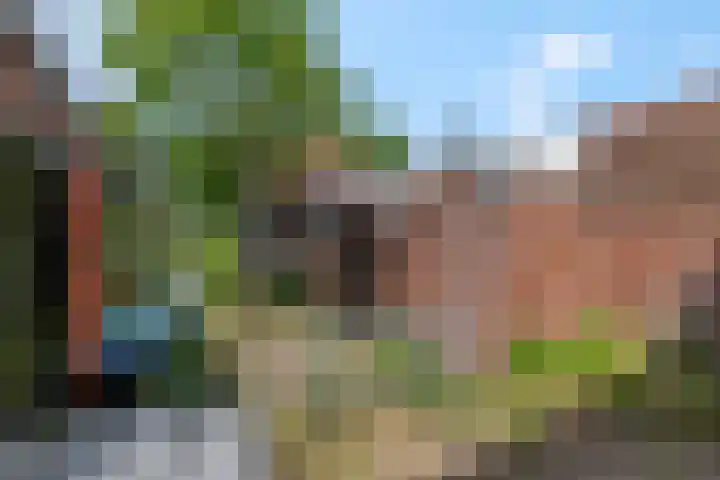 Bisschop Davidweg 7 Rhenen thumbnail 22