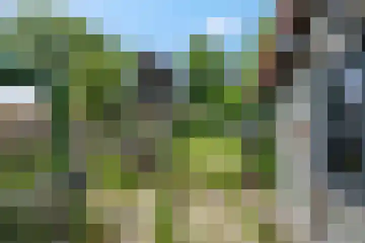 Bisschop Davidweg 7 Rhenen thumbnail 24