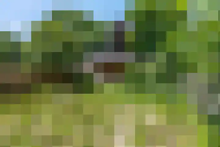 Bisschop Davidweg 7 Rhenen thumbnail 25