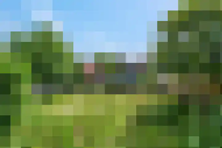 Bisschop Davidweg 7 Rhenen thumbnail 26
