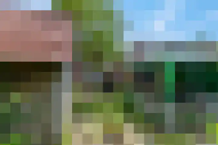 Bisschop Davidweg 7 Rhenen thumbnail 4