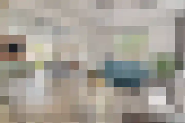 Bisschop de Vetplein 12 Gilze thumbnail 10