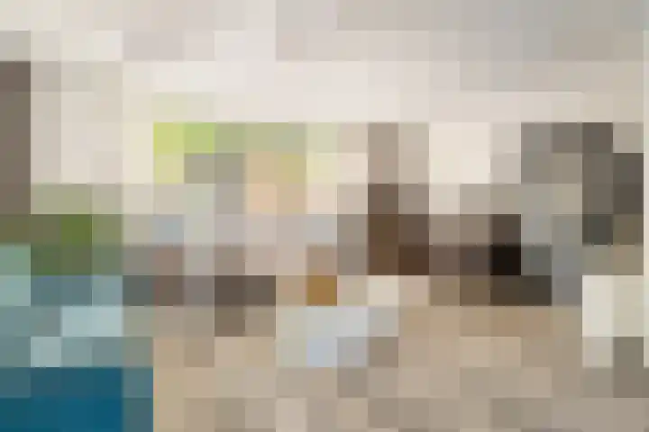 Bisschop de Vetplein 12 Gilze thumbnail 11