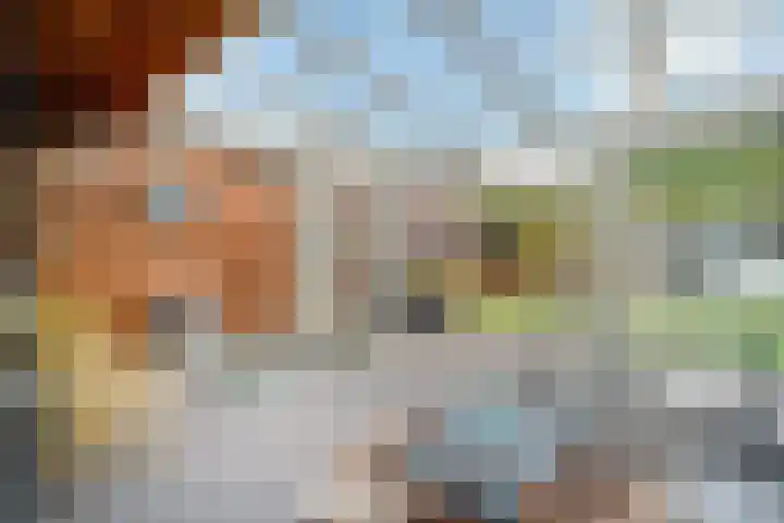 Bisschop de Vetplein 12 Gilze thumbnail 18