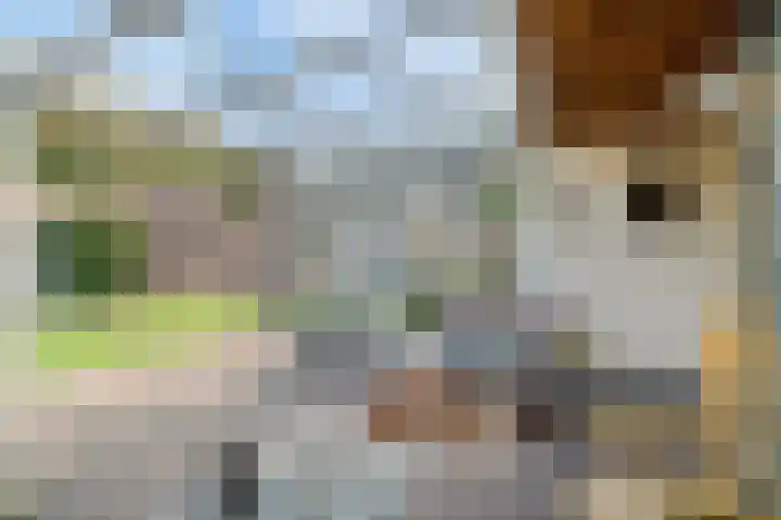 Bisschop de Vetplein 12 Gilze thumbnail 19