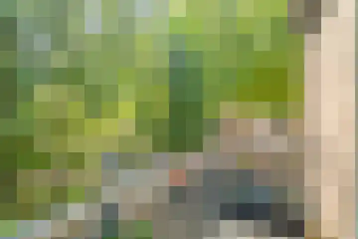 Bisschop de Vetplein 12 Gilze thumbnail 25