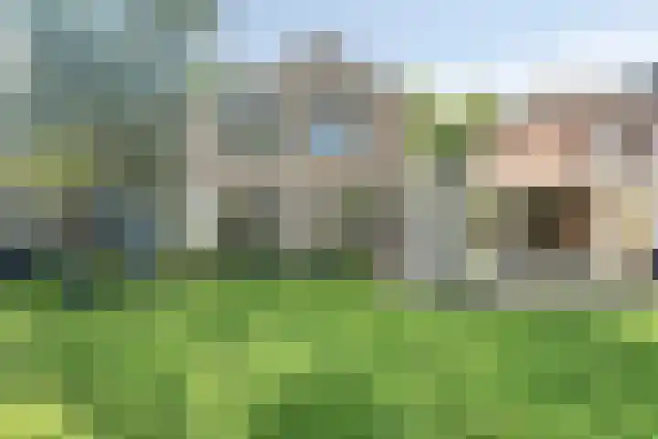 Bisschop de Vetplein 12 Gilze thumbnail 32