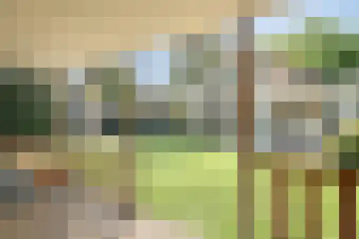 Bisschop de Vetplein 12 Gilze thumbnail 37