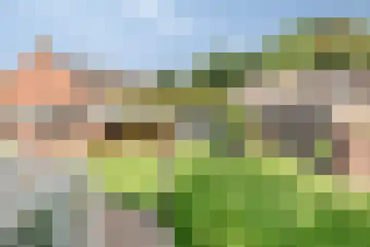 Bisschop de Vetplein 12 Gilze thumbnail 39