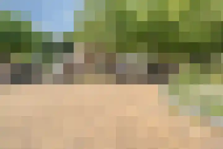 Bisschop de Vetplein 12 Gilze thumbnail 44